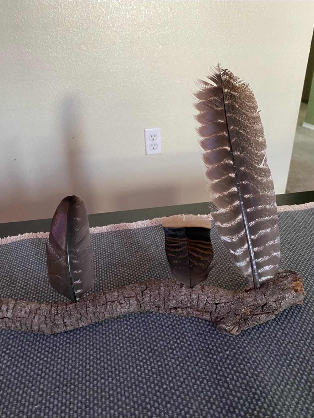 Turkey Feather Decorative Accent